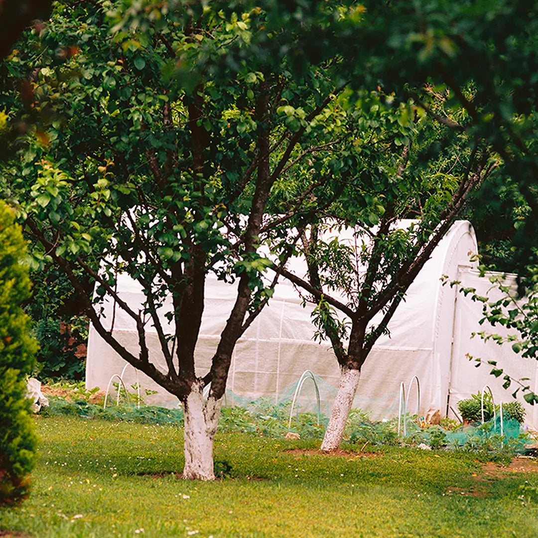 8m²